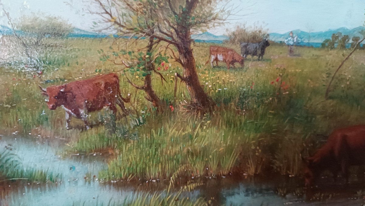 Dipinto olio su tavola - mucche - XIX secolo -photo-1