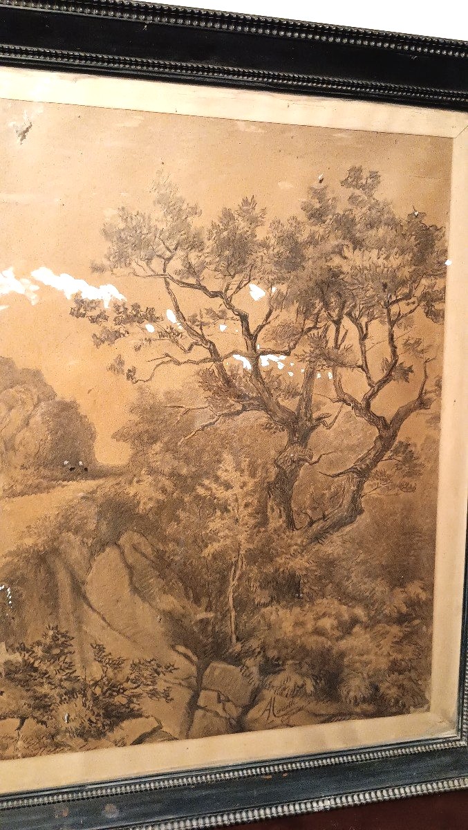 Grande dipinto paesaggio,tecnica mista biacca ,XIX secolo  A.MARIOTTI-photo-4