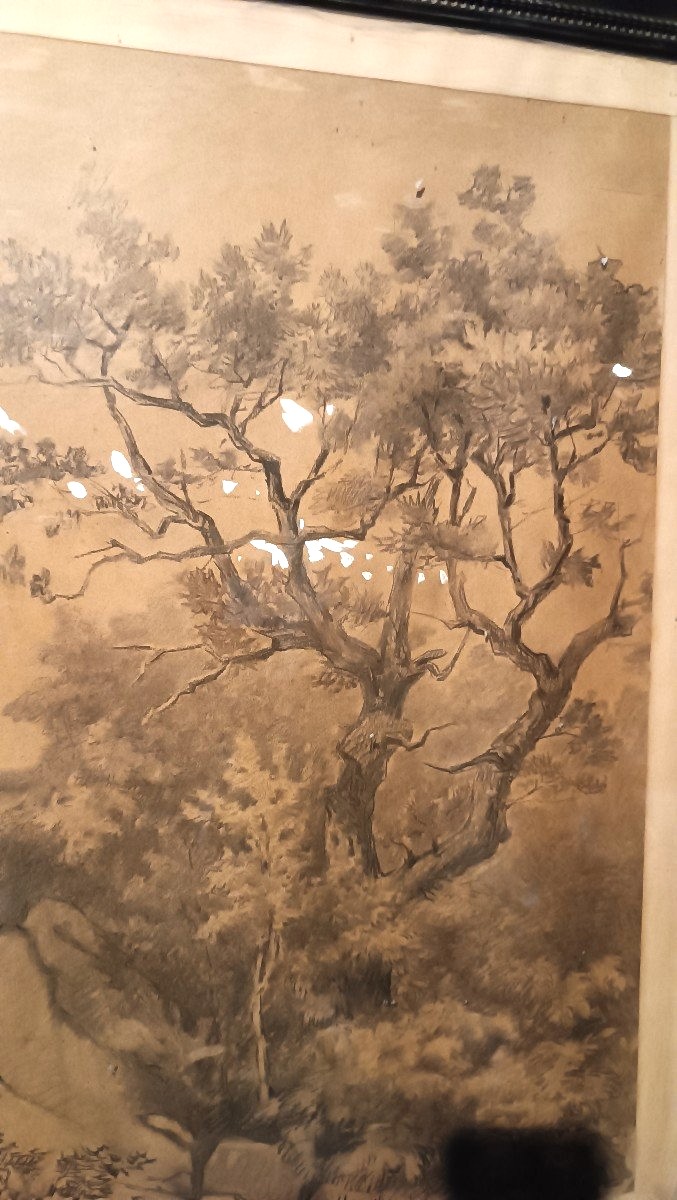 Grande dipinto paesaggio,tecnica mista biacca ,XIX secolo  A.MARIOTTI-photo-2