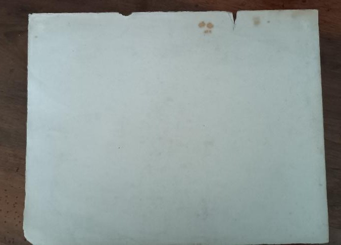 disegno nudo virile antico matita su carta XIX secolo scuola toscana-photo-3