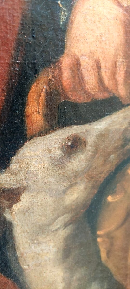 Dipinto olio su tela , ritratto di giovane nobile XVIII secolo-photo-1