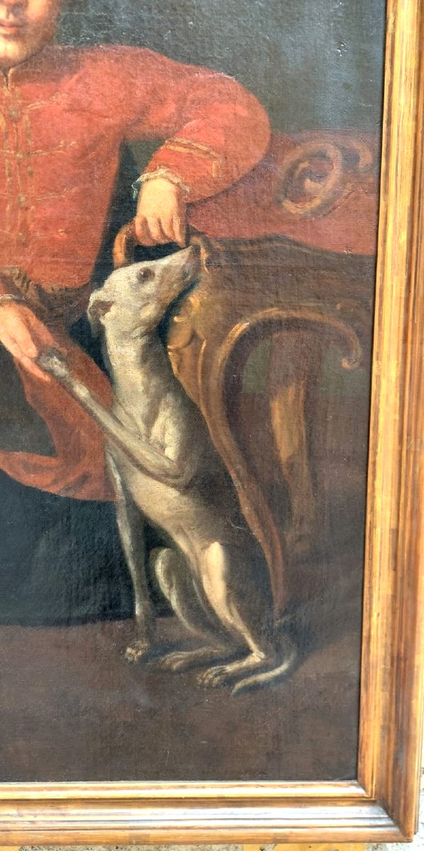 Dipinto olio su tela , ritratto di giovane nobile XVIII secolo-photo-6