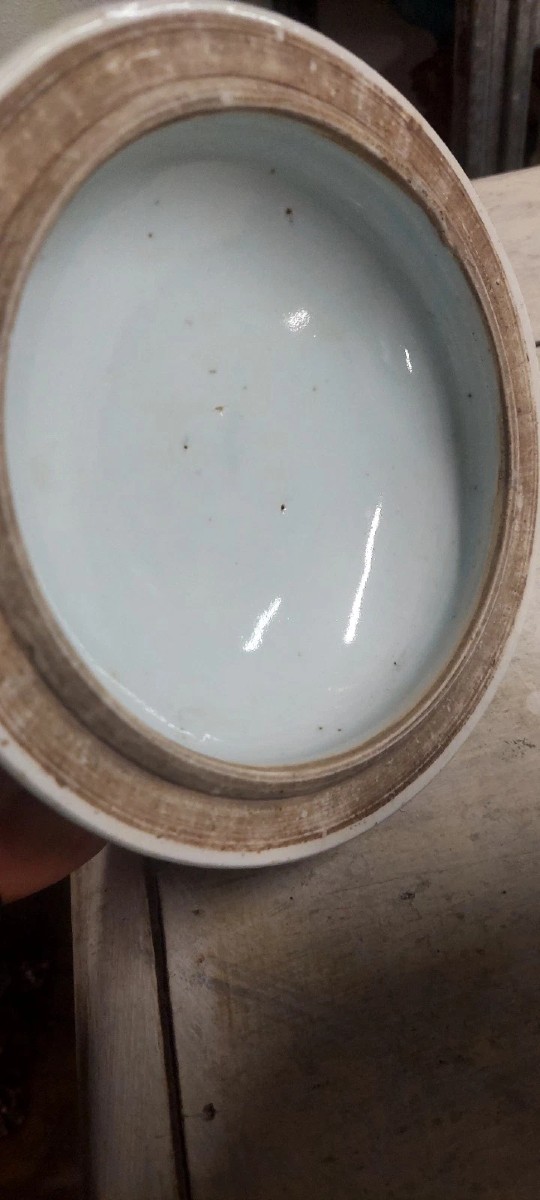 ANTICA GIARA IN PORCELLANA CINA BIANCO-BLU PERIODO QING XIX SECOLO-photo-4