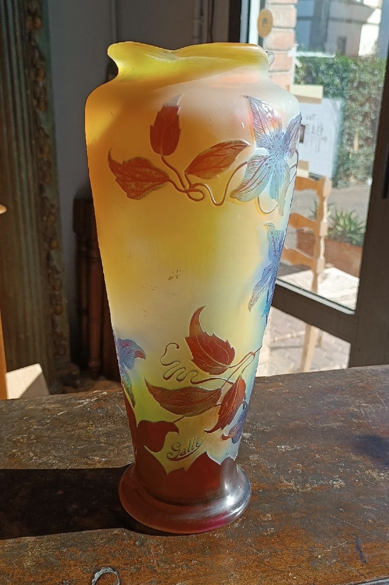Grande vaso Gallé , un cammeo, Nancy, fine XIX/inizio XX secolo-photo-2