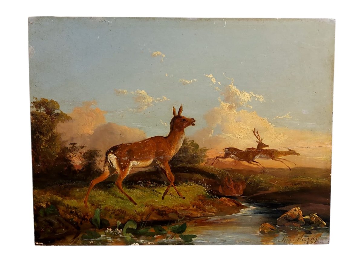 Finissimo ed elegante dipinto ad olio  su tavola , Andrea Markò-photo-7