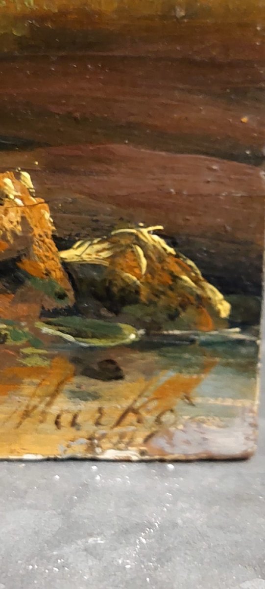 Finissimo ed elegante dipinto ad olio  su tavola , Andrea Markò-photo-8