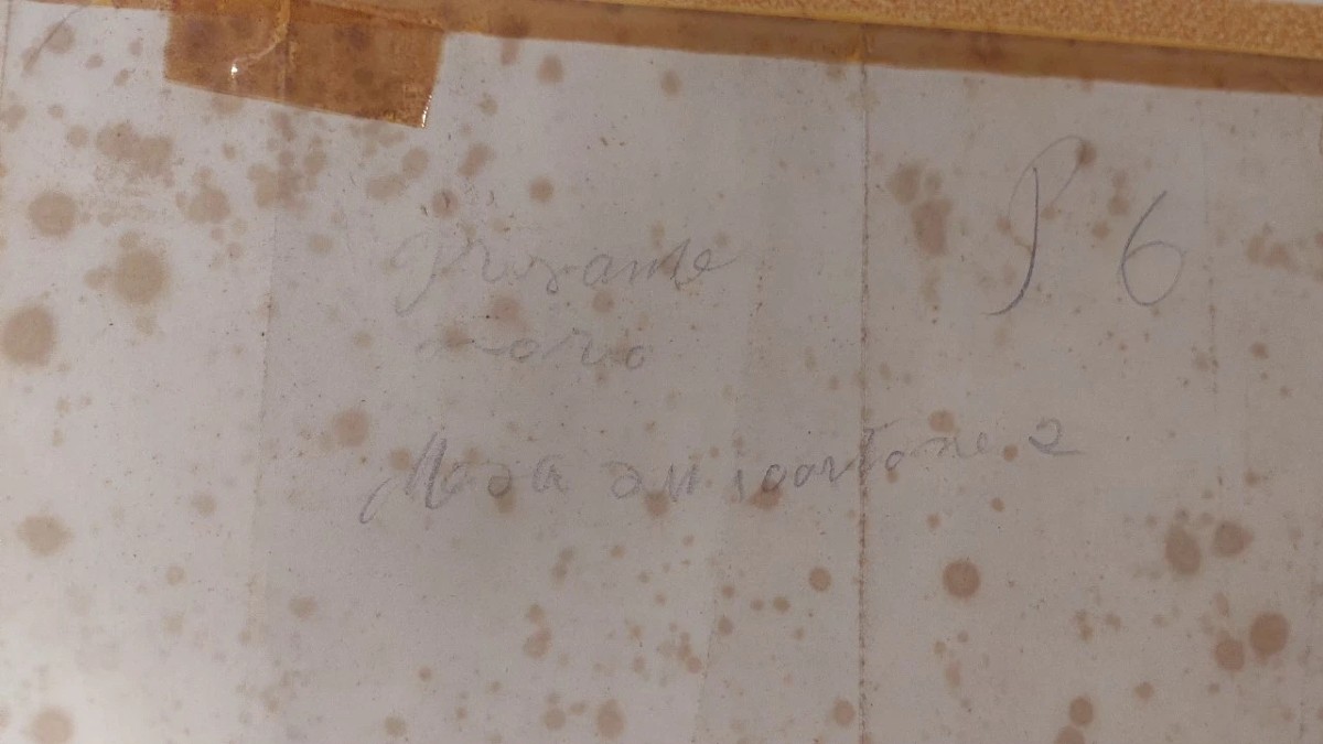 Disegno China Su Carta Con Personaggi Gleichenberg Austria XIX secolo Antico-photo-4