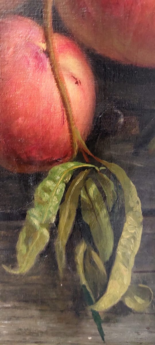 ZINGONI AURELIO FIRENZE   1853-1922 , DIPINTO  OLIO SU TELA, NATURA MORTA. -photo-4