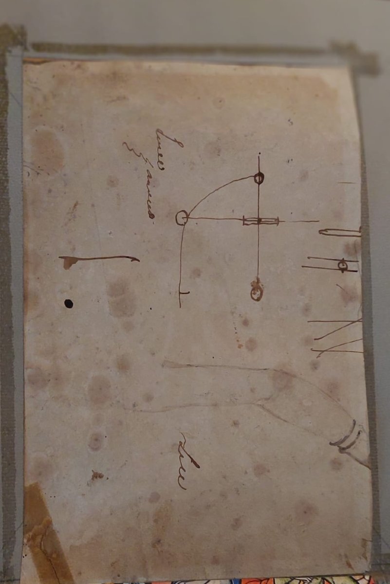 Giuseppe Angelelli  1803-1844. disegno a china su carta , reca la scritta : Studio donne Egitto-photo-7