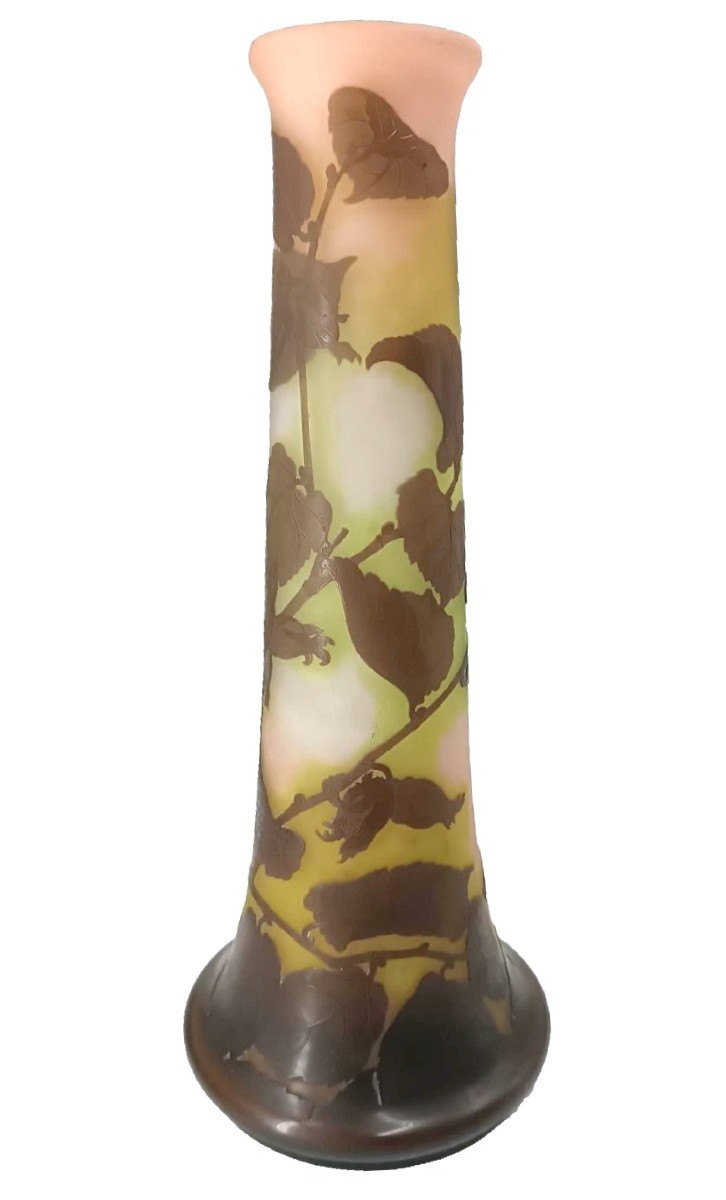 Vaso Galle' cameo Nancy Francia con stella primo ventennio del xx secolo h. 47 c-photo-2