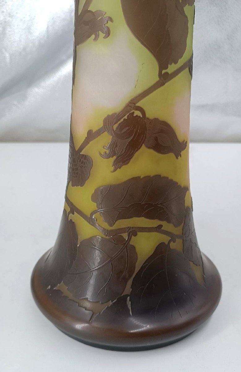 Vaso Galle' cameo Nancy Francia con stella primo ventennio del xx secolo h. 47 c-photo-4