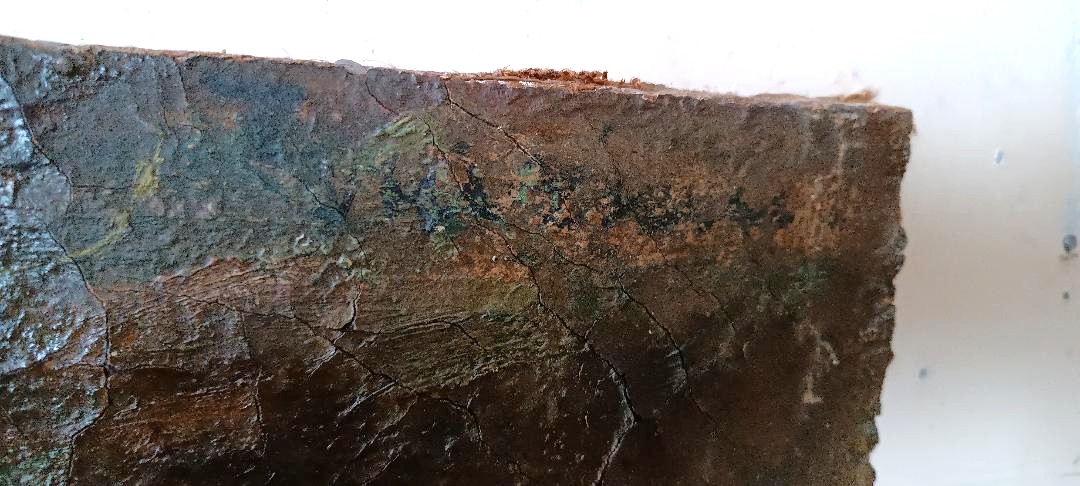 Dipinto ad olio su tela del XIX secolo, vaso di frutta con fiori-photo-2