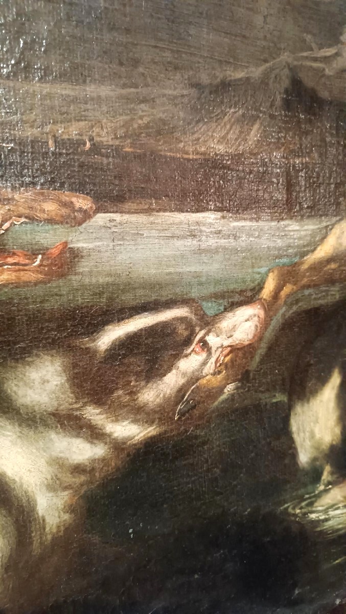 Scena Di Caccia - Dipinto Antico XVII Secolo Scuola Fiamminga -photo-2