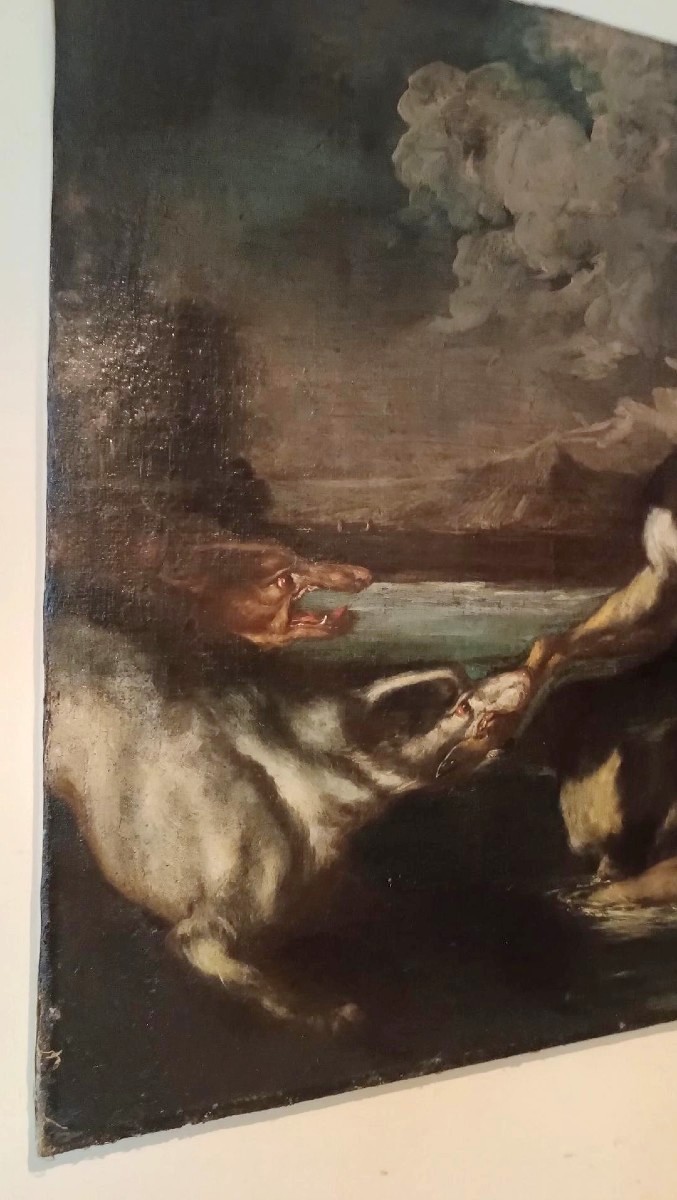 Scena Di Caccia - Dipinto Antico XVII Secolo Scuola Fiamminga -photo-3