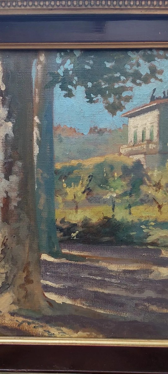 DIPINTO OLIO SU TELA RIPORTATO SU CARTONE - CARLO FOLLINI ( 1848-1938 PEGLI )-photo-4