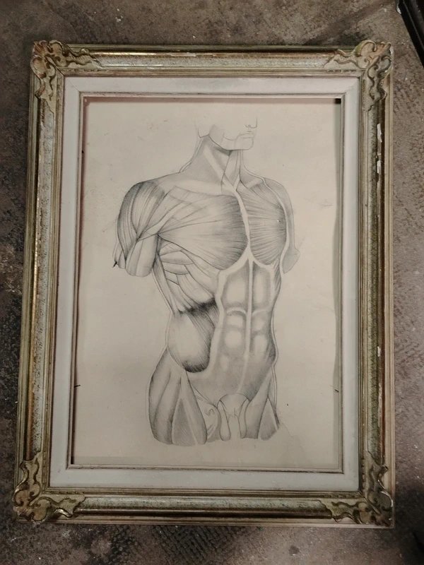 Antico disegno a matita anatomico-photo-3