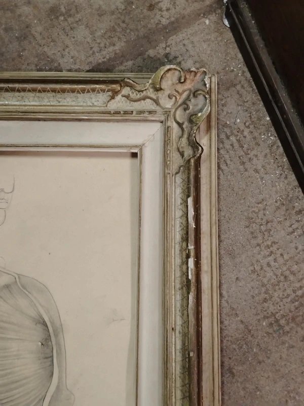 Antico disegno a matita anatomico-photo-1
