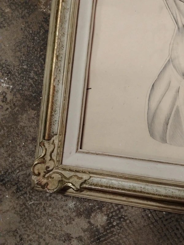 Antico disegno a matita anatomico-photo-2