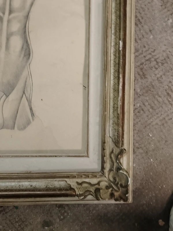 Antico disegno a matita anatomico-photo-3