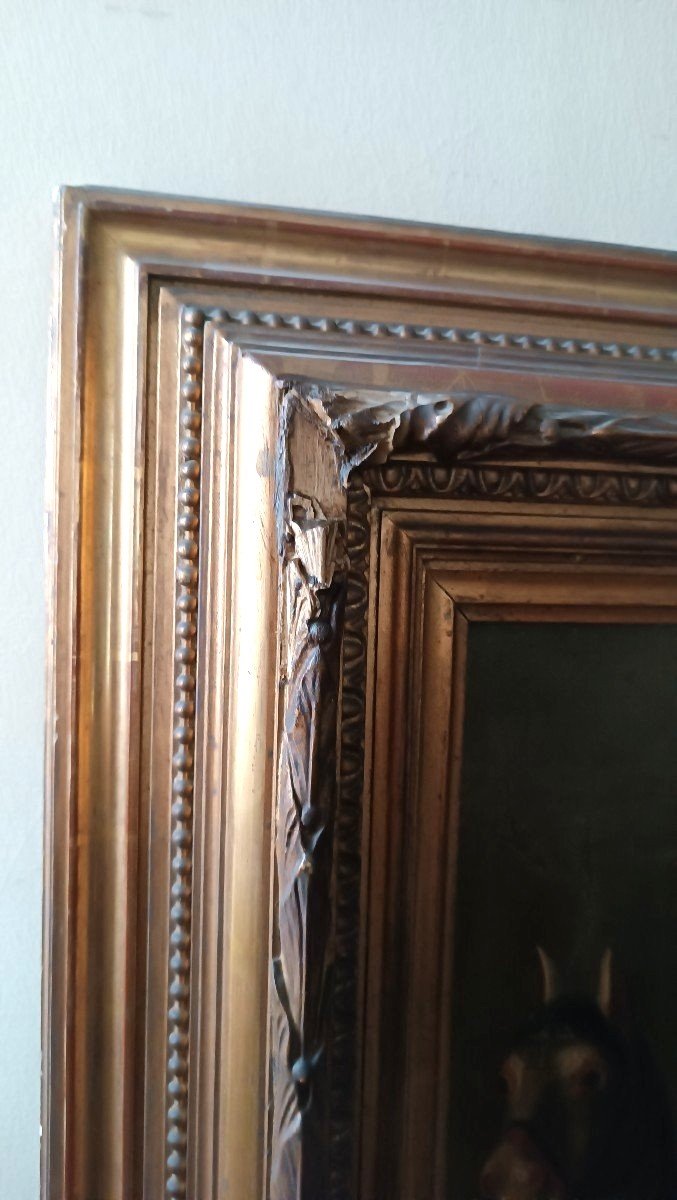 Dipinto olio su tela ritratto  metà del XIX secolo-photo-4