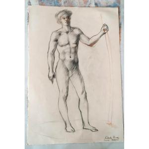 Disegno a matita su carta bozzetto nudo virile -Gabriele Vicari