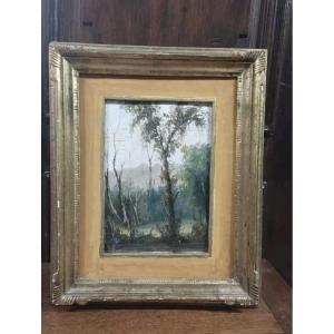 Dipinto fine 800  Olio Su Cartoncino Firmato Paesaggio Quadro Cornice