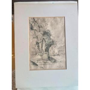 Disegno antico su carta vergata - XVII secolo - da  Annibale Carracci