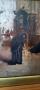 1799207-alb-6a6398b53914e.jpg