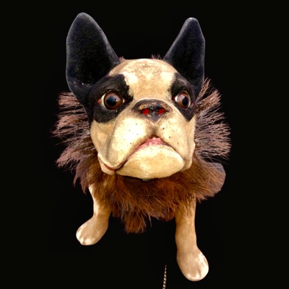 Modello di bulldog francese in papier mache’ con testa basculante -photo-2
