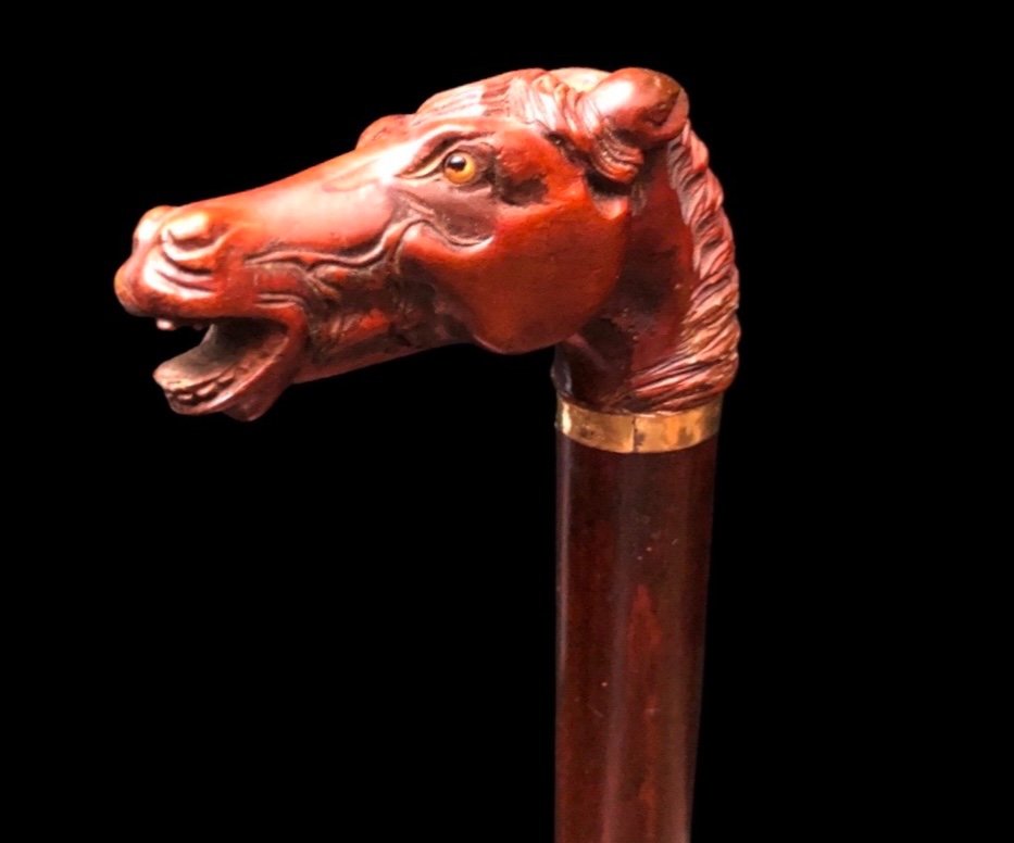 Bastone con pomolo in legno di bosso raffigurante testa di cavallo.
