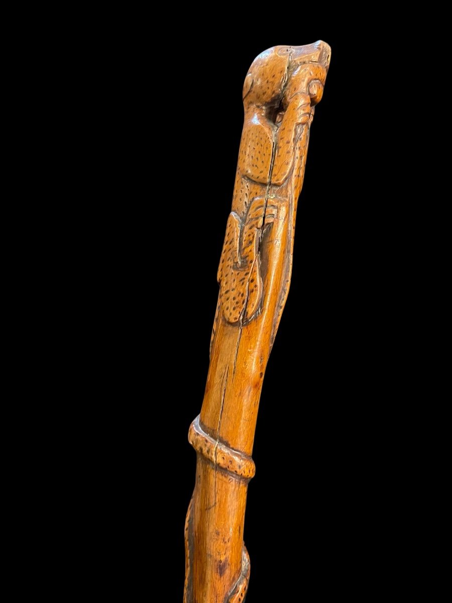 Bastone popolare in pezzo unico di legno inciso con figura di giaguaro che attacca un serpente.-photo-4