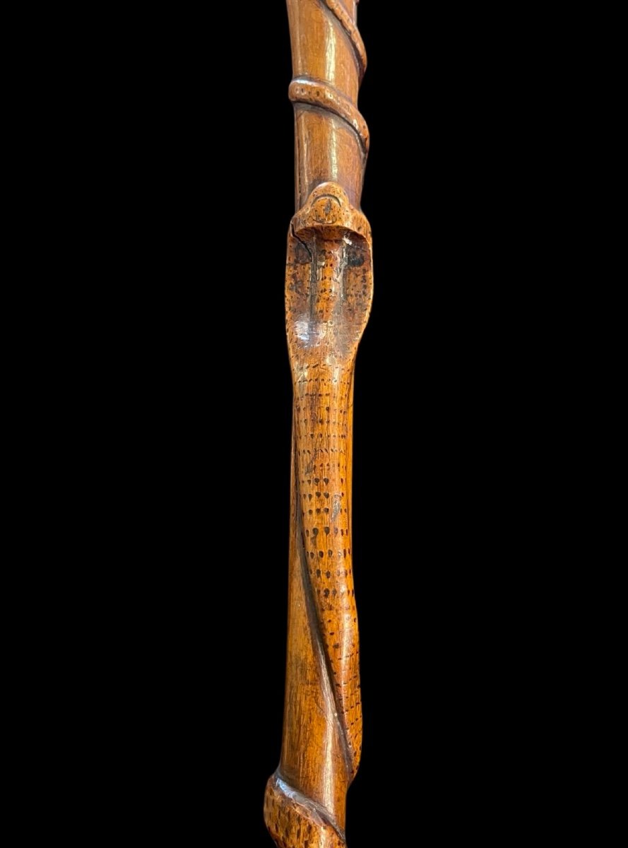 Bastone popolare in pezzo unico di legno inciso con figura di giaguaro che attacca un serpente.-photo-1