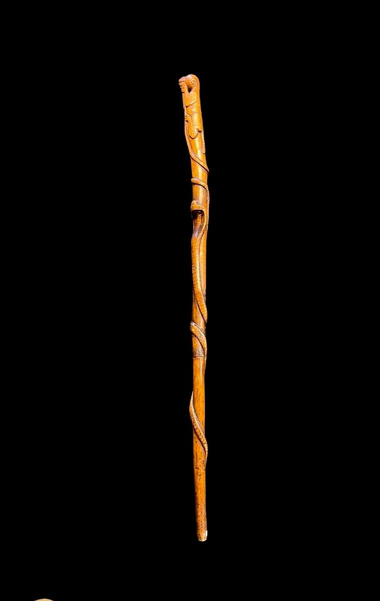Bastone popolare in pezzo unico di legno inciso con figura di giaguaro che attacca un serpente.-photo-2