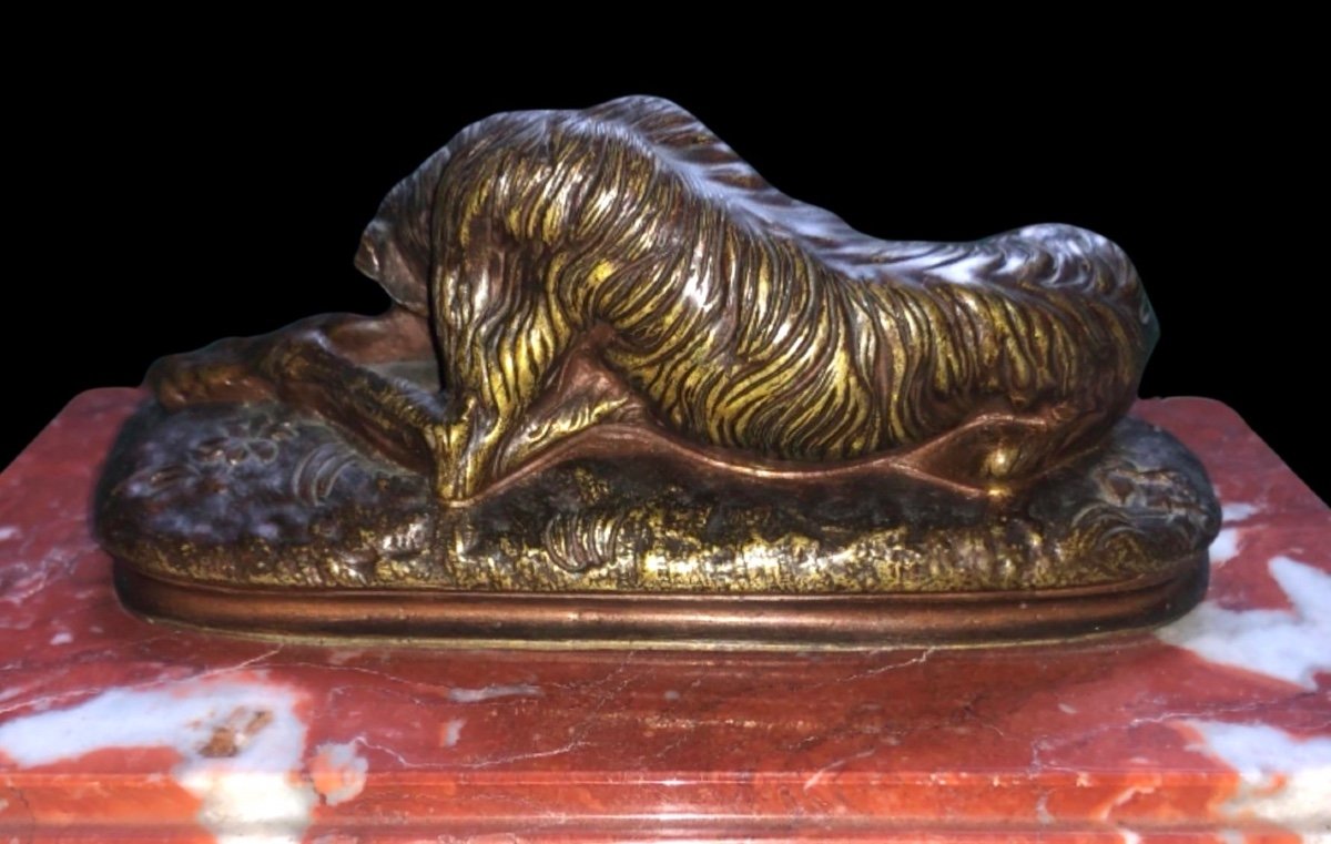 Scultura in bronzo su base di marmo raffigurante cane levriero dormiente.firmato-photo-1