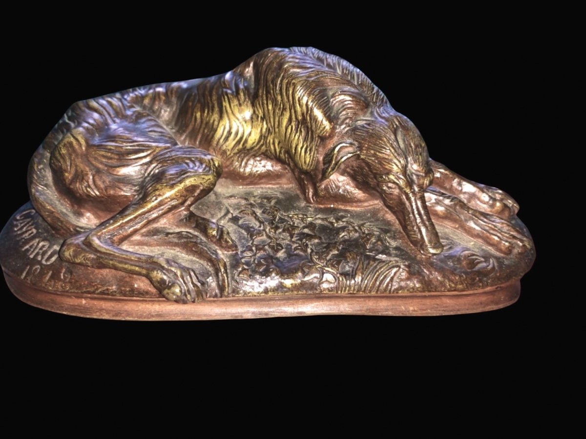 Scultura in bronzo su base di marmo raffigurante cane levriero dormiente.firmato