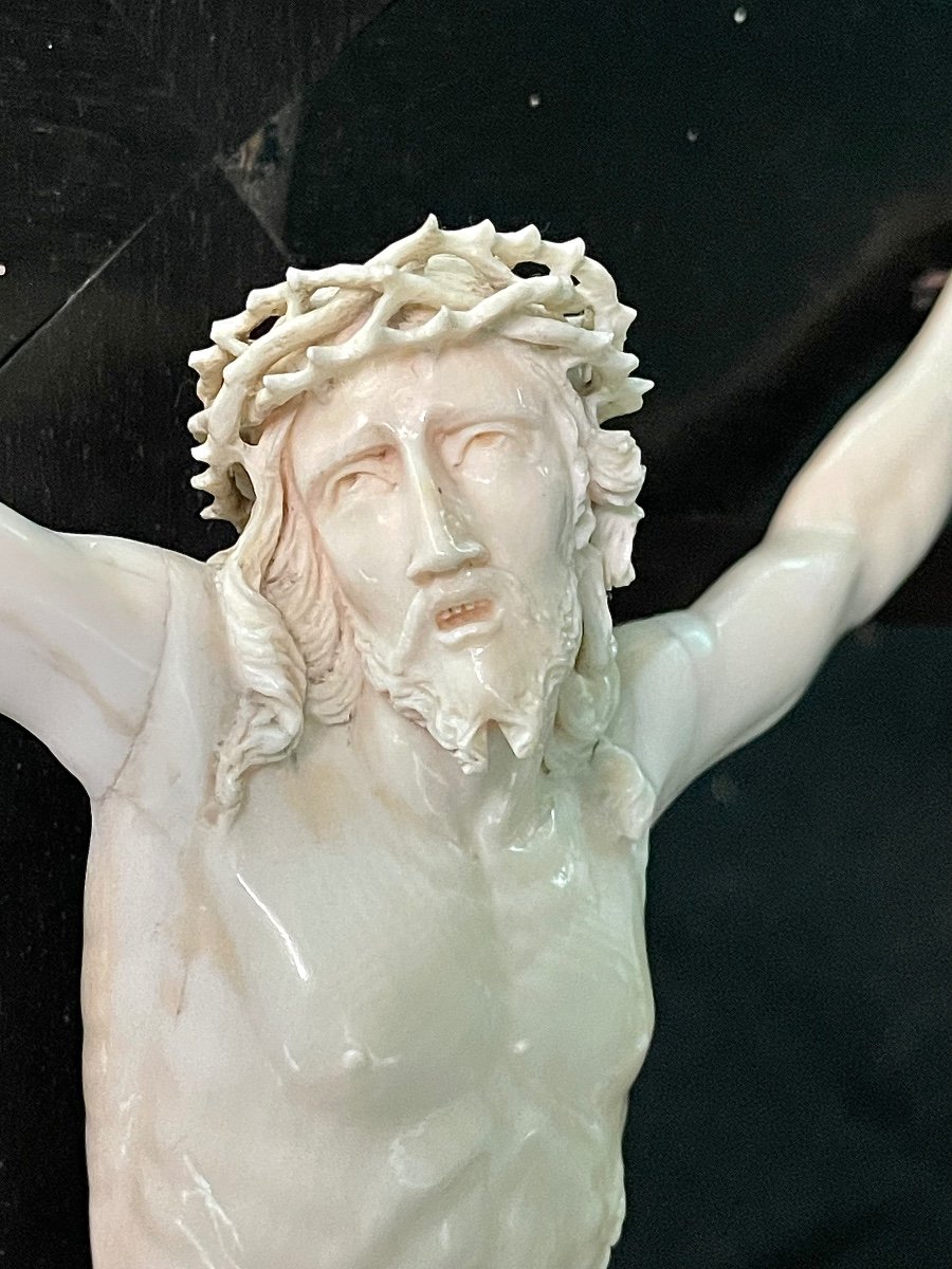 Cristo in avorio su croce in legno di ebano.-photo-3