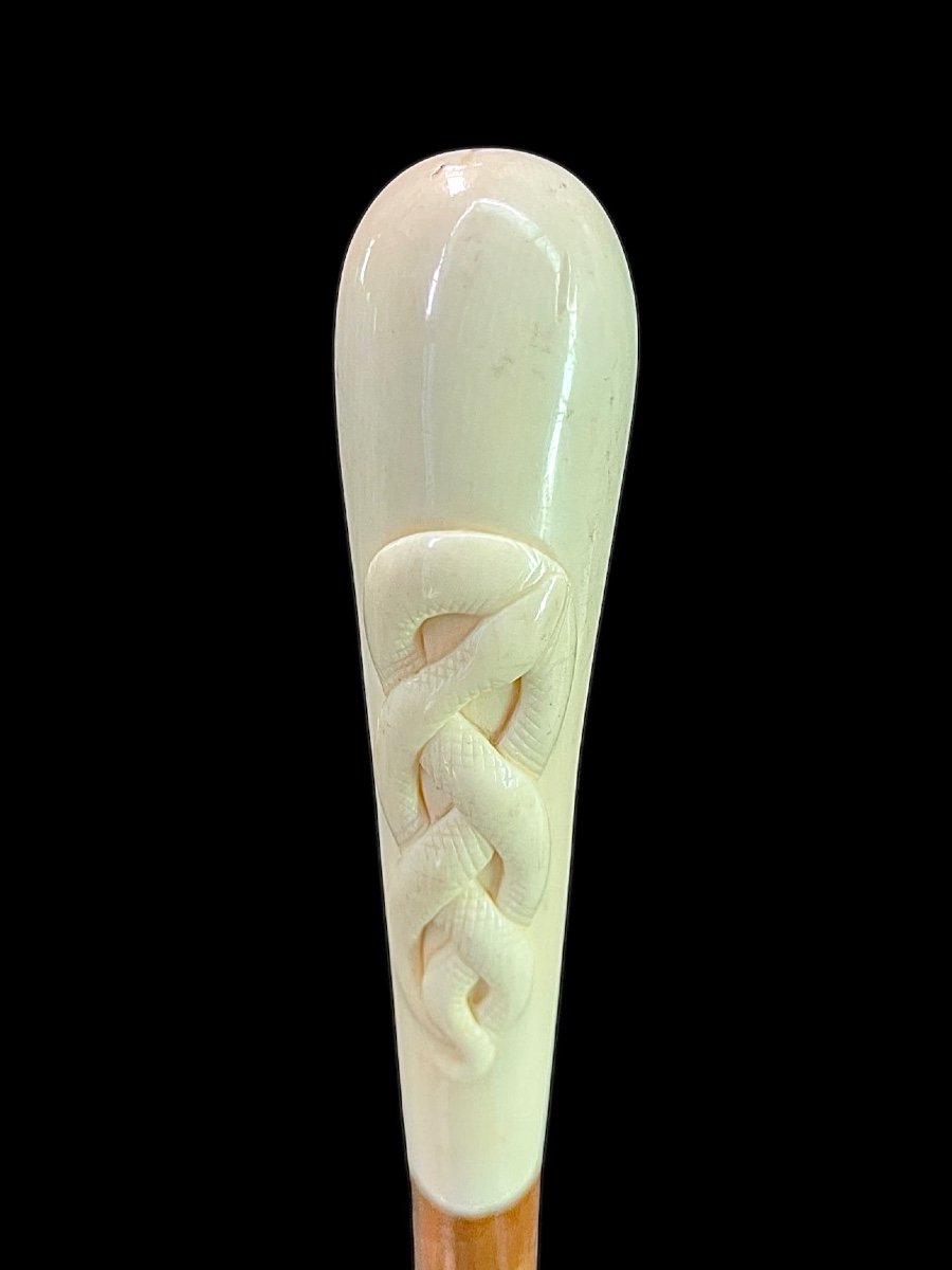 Bastone con pomolo in avorio di forma globulare con serpente intrecciato  inciso in altorilievo-photo-2