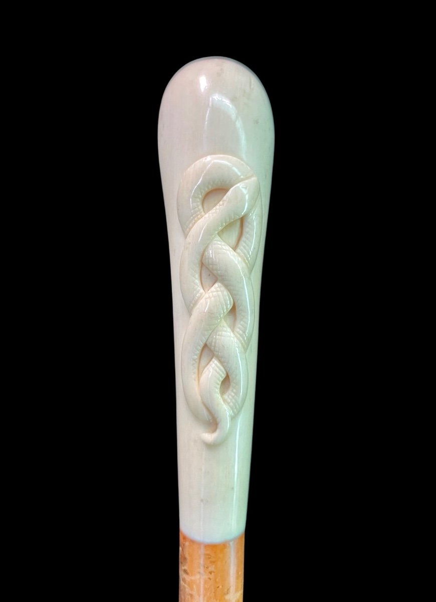 Bastone con pomolo in avorio di forma globulare con serpente intrecciato  inciso in altorilievo