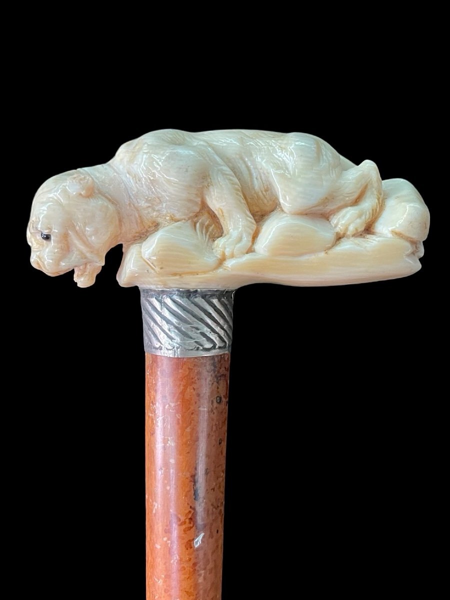 Bastone con impugnatura laterale in avorio raffigurante una pantera -photo-2