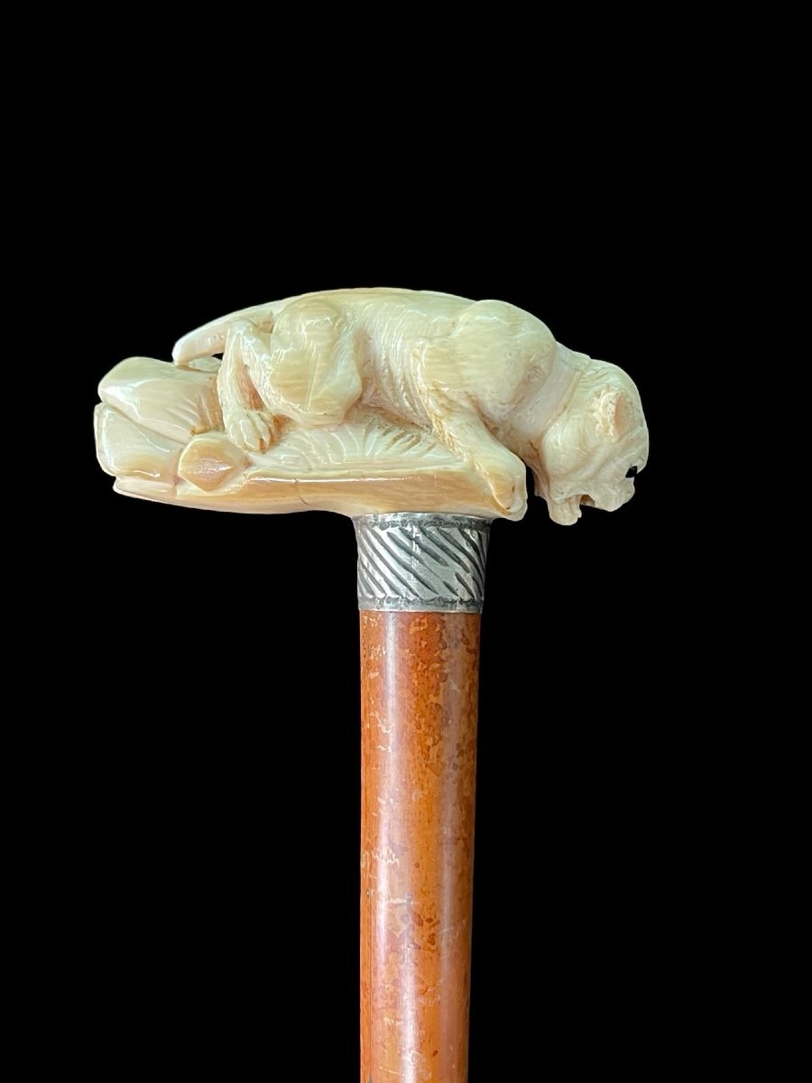Bastone con impugnatura laterale in avorio raffigurante una pantera -photo-3