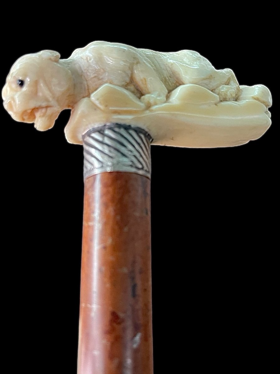 Bastone con impugnatura laterale in avorio raffigurante una pantera -photo-1
