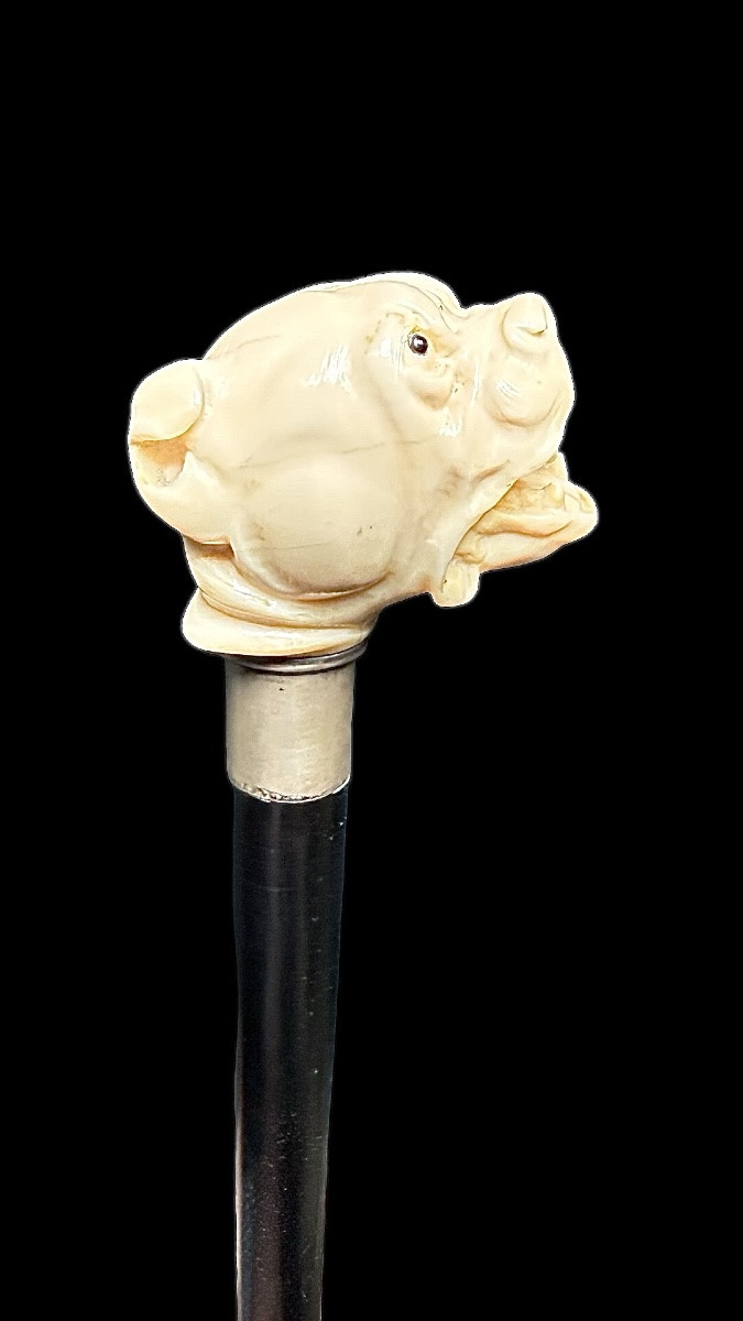 Bastone con pomolo in avorio raffigurante cane molosso.-photo-2