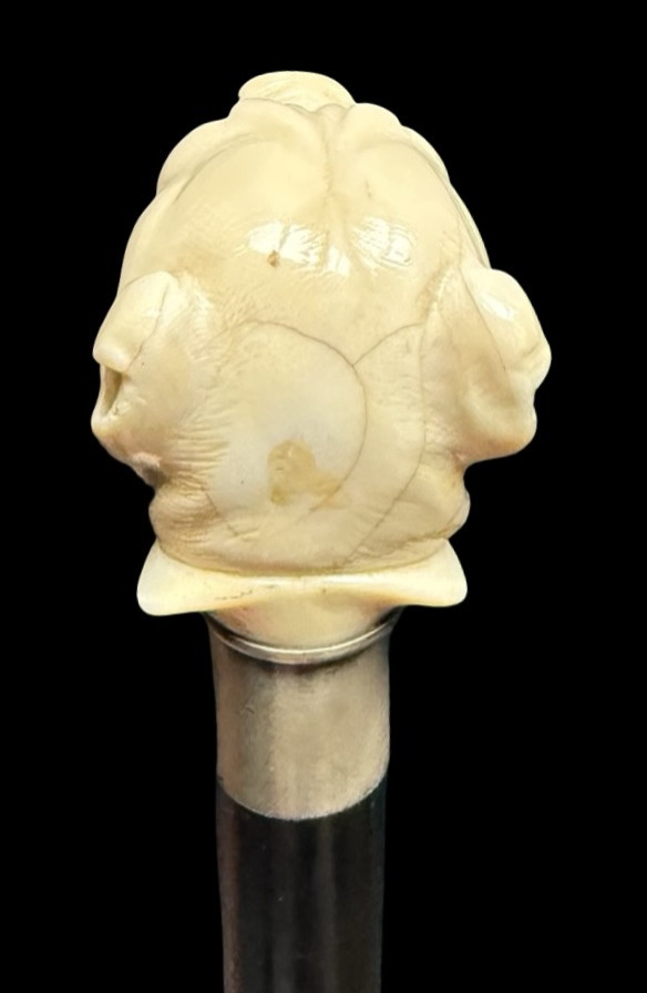 Bastone con pomolo in avorio raffigurante cane molosso.-photo-3