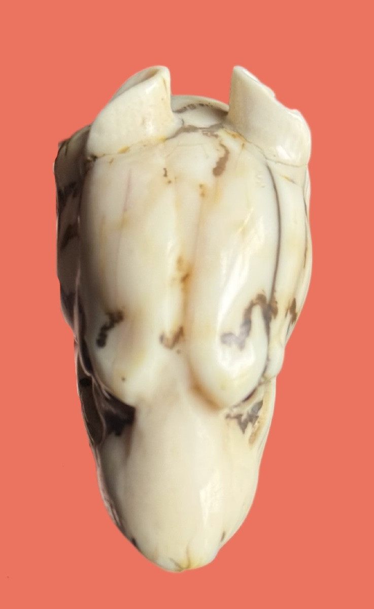  Bastone con pomolo in avorio raffigurante testa di tigre.-photo-4