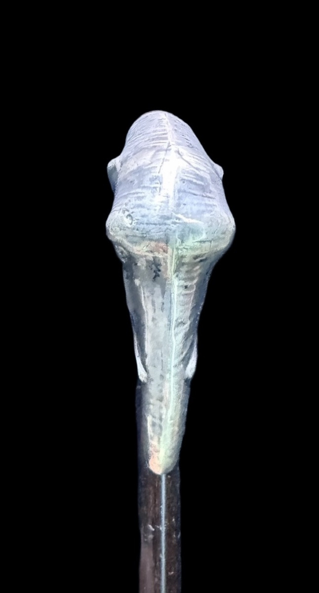 Bastone con pomolo in argento a forma di testa di elefante.-photo-3