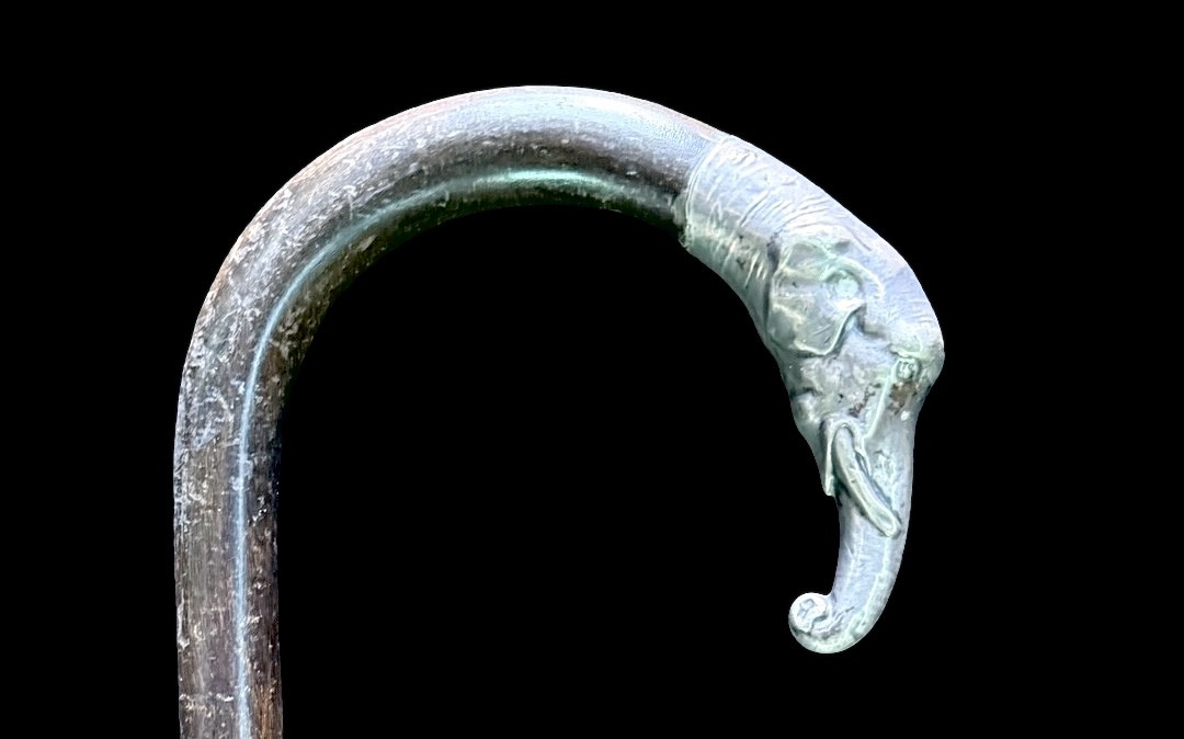 Bastone con pomolo in argento a forma di testa di elefante.