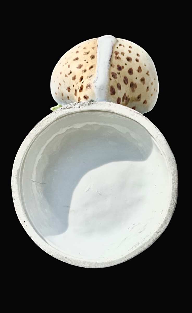 vaso in porcellana con pappagallo applicato e vaschetta.Decorazione a insetti e farfalle.-photo-5