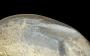 1455172-alb-6a04a09aeabf2.jpg