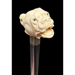 Bastone con pomolo in avorio raffigurante cane molosso.