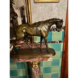 Race Horse Pj Mene
